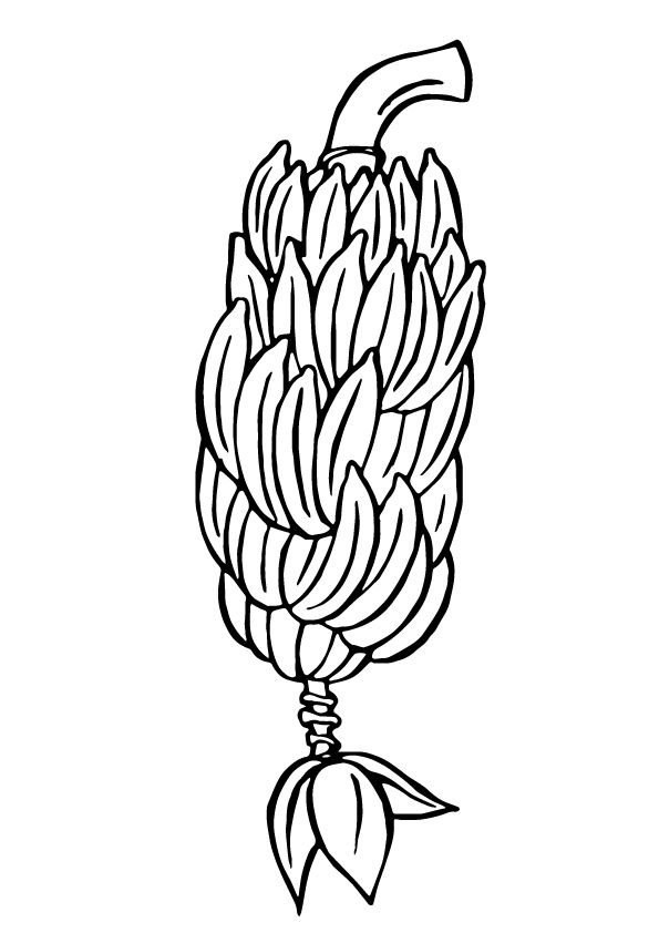 bunch of banana coloring pages