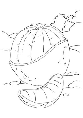 orange coloring pages