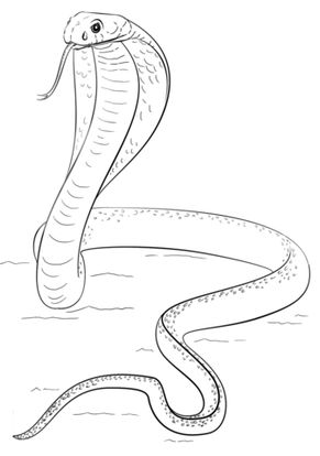 Download Free Reptiles Coloring Pages, Printable Reptiles Coloring Pictures, Worksheets for Preschoolers ...