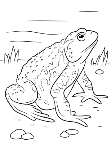 Download Free Reptiles Coloring Pages, Printable Reptiles Coloring Pictures, Worksheets for Preschoolers ...