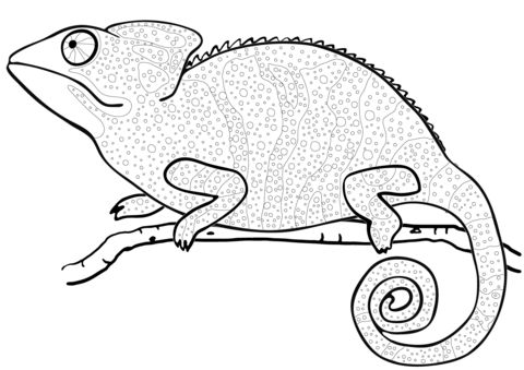 Download Free Reptiles Coloring Pages, Printable Reptiles Coloring Pictures, Worksheets for Preschoolers ...