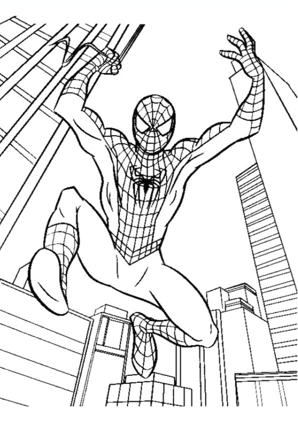 Spider-Man Fracture Wallpaper - 21 Inch Sample - Lelands Wallpaper