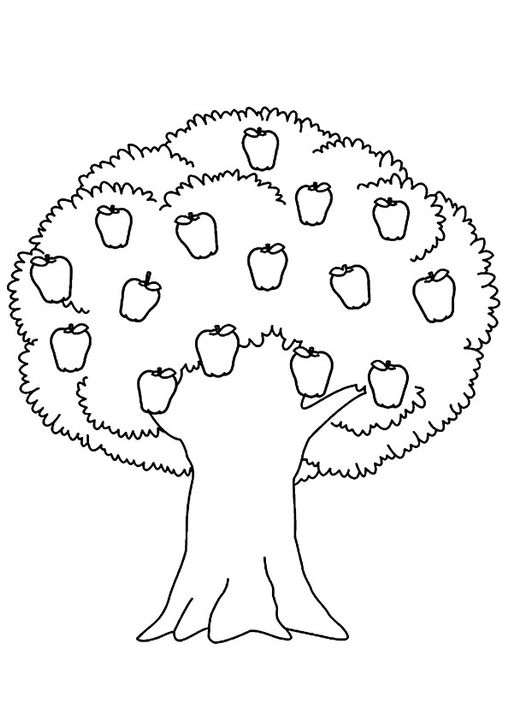 Free Trees Coloring Pages Printable Trees Coloring Pictures Worksheets For Preschoolers 
