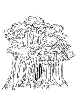 Download Free Printable Simple Trees Coloring Pages, Simple Trees ...