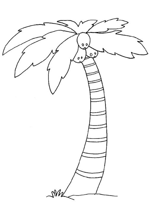 Free Trees Coloring Pages Printable Trees Coloring Pictures