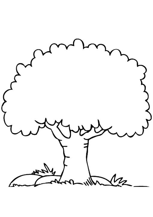 Free Trees Coloring Pages Printable Trees Coloring Pictures 