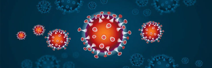 Corona Virus Support